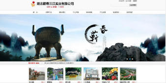 武漢企業網站設計建設*公司