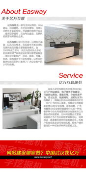 武漢網(wǎng)站建設(shè)與網(wǎng)絡(luò)營銷知識 全方位服務(wù)助力企業(yè)數(shù)字化轉(zhuǎn)型